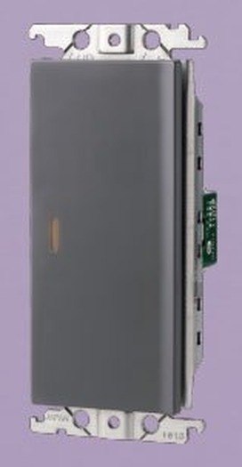 國際牌 Panasonic RISNA 埋入式螢光開關C(單)WTRF5152H