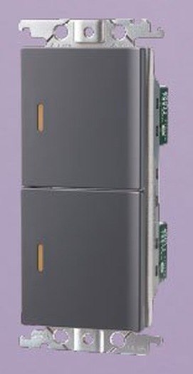 國際牌 Panasonic RISNA 埋入式螢光開關C(雙)WTRF5252H