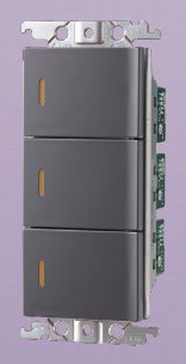 國際牌 Panasonic RISNA 埋入式螢光開關C(參)WTRF5352H